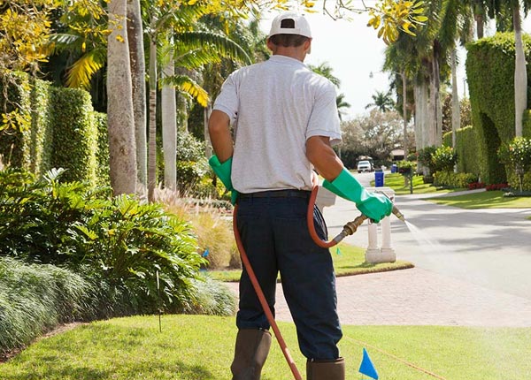 About Summerfield OH Pest Control
